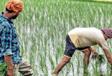 छत्तीसगढ़ में इस साल मई महीने में मानसून के आगमन से किसानों की चिंता, मानसून की समय से पहले हुई एंट्री से फसल पर बुरा असर पड़ने की आशंका
