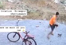 बच्चा या शैतान? बिलासपुर में क्रूरता की हदें पार, बच्चे ने मासूम पिल्लों को बोरे में भरकर पटका और एक को गड्ढे में फेंक दिया, वीडियो देखकर कांप उठेगी रुह!