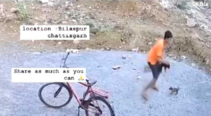 बच्चा या शैतान? बिलासपुर में क्रूरता की हदें पार, बच्चे ने मासूम पिल्लों को बोरे में भरकर पटका और एक को गड्ढे में फेंक दिया, वीडियो देखकर कांप उठेगी रुह! बच्चा या शैतान? बिलासपुर में क्रूरता की हदें पार, बच्चे ने मासूम पिल्लों को बोरे में भरकर पटका और एक को गड्ढे में फेंक दिया, वीडियो देखकर कांप उठेगी रुह!