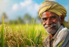 खरीफ सीजन 2025 के लिए 9.6 लाख किसानों को 4092 करोड़ रूपए से अधिक का अल्पकालीन कृषि ऋण वितरित