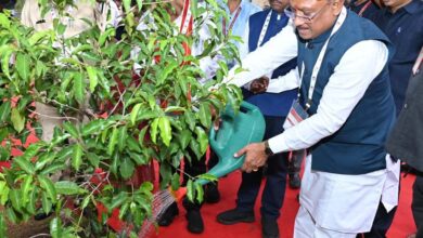 IIM परिसर में सुशासन वाटिका का शुभारंभ, सीएम साय ने लगाया मौलश्री