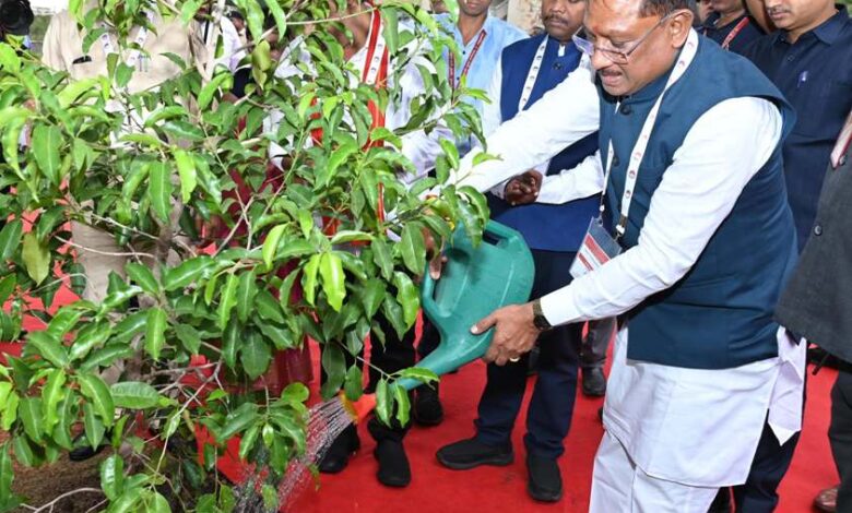 IIM परिसर में सुशासन वाटिका का शुभारंभ, सीएम साय ने लगाया मौलश्री