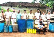 75 लीटर कच्ची शराब और 900 किलोग्राम गुड़ निर्मित पाश जब्त