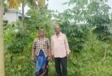 आधुनिक खेती व मेहनत में केतकी बाई को बनाया लखपति दीदी