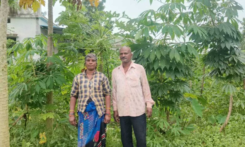 आधुनिक खेती व मेहनत में केतकी बाई को बनाया लखपति दीदी