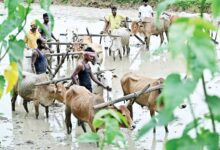 किसान भाईयों की खेती ने पकड़ी रफ्तार