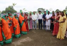सक्ती जिले में सामूहिक पौधरोपण महाअभियान का हुआ आयोजन