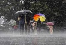 प्रदेश में अब तक 572.5 मि.मी. औसत वर्षा दर्ज