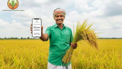 प्रधानमंत्री फसल बीमा योजना से छत्तीसगढ़ के 1.41 लाख किसानों को ₹152.84 करोड़ का भुगतान