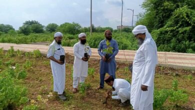 यौमे आजादी पर दावते इस्लामी GNRF ने किया पौधारोपण