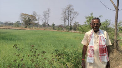 कम लागत से गेहूं की फसल में किसानों को मिलेगा ज्यादा मुनाफा