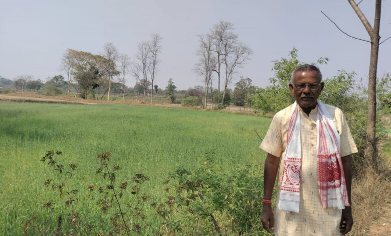कम लागत से गेहूं की फसल में किसानों को मिलेगा ज्यादा मुनाफा कम लागत से गेहूं की फसल में किसानों को मिलेगा ज्यादा मुनाफा