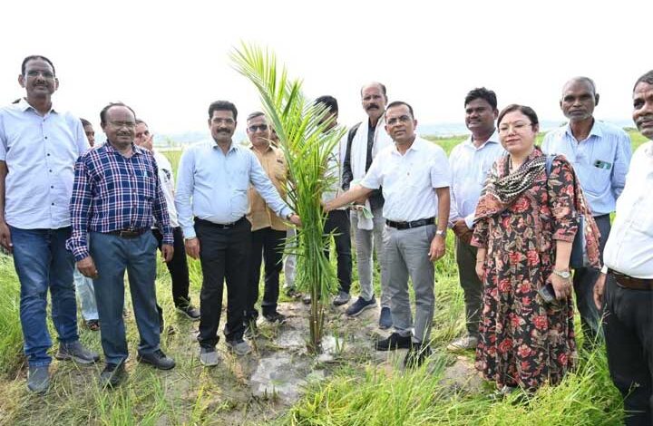कलेक्टर जन्मेजय महोबे पहुँचे ऑयल पाम के खेत, किसानों को दी स्थायी आमदनी की राह