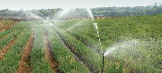 दो सिंचाई परियोजनाओं के कार्यों के लिए 7.36 करोड़ रूपए स्वीकृत दो सिंचाई परियोजनाओं के कार्यों के लिए 7.36 करोड़ रूपए स्वीकृत