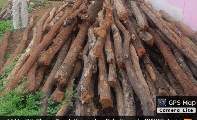 होटल-ढाबों से अवैध लकड़ी जब्त, तीन प्रकरण दर्ज होटल-ढाबों से अवैध लकड़ी जब्त, तीन प्रकरण दर्ज