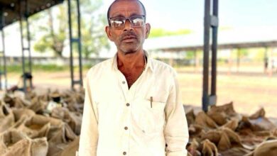 किसानों के समय पर भुगतान से बढ़ा आत्मविश्वास, धान खरीदी शुरू होते ही मिली राहत किसानों के समय पर भुगतान से बढ़ा आत्मविश्वास, धान खरीदी शुरू होते ही मिली राहत