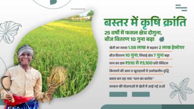 बस्तर में कृषि क्रांति : 25 वर्षों में फसल क्षेत्र दोगुना, बीज वितरण में 10 गुना वृद्धि बस्तर में कृषि क्रांति : 25 वर्षों में फसल क्षेत्र दोगुना, बीज वितरण में 10 गुना वृद्धि