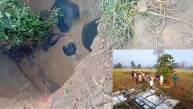 महासमुंद में कुएं में गिरे बच्चे सहित चार हाथी महासमुंद में कुएं में गिरे बच्चे सहित चार हाथी