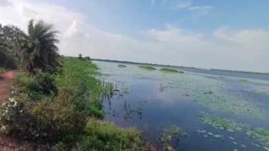 कोपरा जलाशय को मिलेगा रामसर स्थल का दर्जा, राज्य वेटलैंड प्राधिकरण ने भेजा प्रस्ताव कोपरा जलाशय को मिलेगा रामसर स्थल का दर्जा, राज्य वेटलैंड प्राधिकरण ने भेजा प्रस्ताव