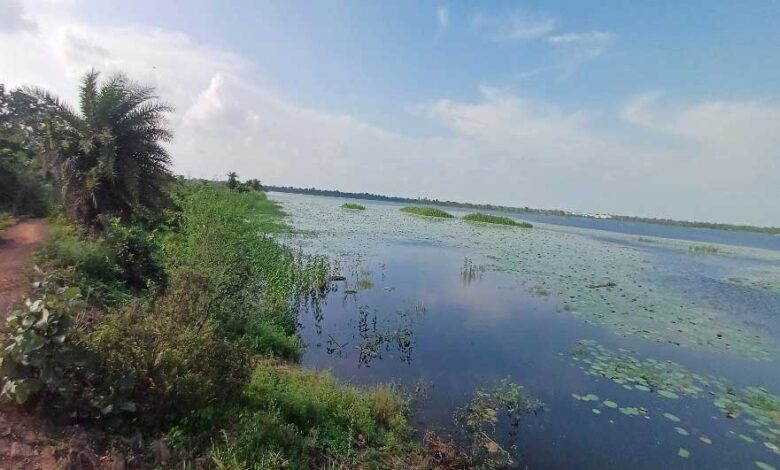 कोपरा जलाशय को मिलेगा रामसर स्थल का दर्जा, राज्य वेटलैंड प्राधिकरण ने भेजा प्रस्ताव कोपरा जलाशय को मिलेगा रामसर स्थल का दर्जा, राज्य वेटलैंड प्राधिकरण ने भेजा प्रस्ताव