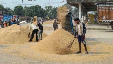 जीपीएम जिले में अब तक हुई 26784 क्विंटल धान की खरीदी जीपीएम जिले में अब तक हुई 26784 क्विंटल धान की खरीदी