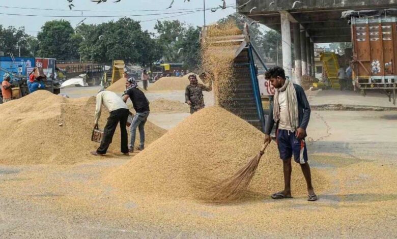 जीपीएम जिले में अब तक हुई 26784 क्विंटल धान की खरीदी जीपीएम जिले में अब तक हुई 26784 क्विंटल धान की खरीदी