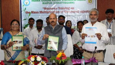 फसलों में बीमारियों के नियंत्रण के लिए जैव नियंत्रकों का उपयोग करें : डॉ. चंदेल फसलों में बीमारियों के नियंत्रण के लिए जैव नियंत्रकों का उपयोग करें : डॉ. चंदेल