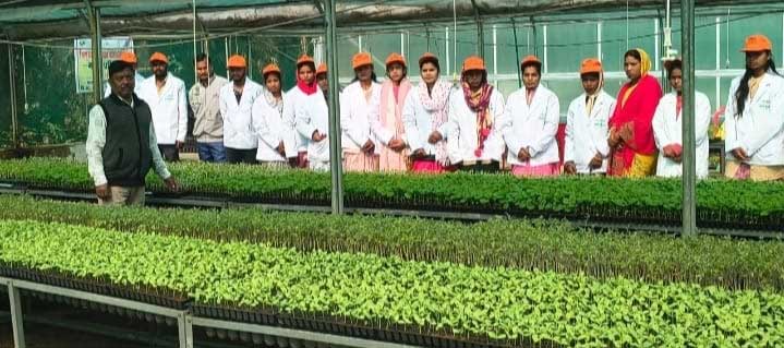 उद्यानिकी प्रशिक्षण से सशक्त होंगे किसान और युवा, हरित समृद्धि की ओर मजबूत कदम उद्यानिकी प्रशिक्षण से सशक्त होंगे किसान और युवा, हरित समृद्धि की ओर मजबूत कदम