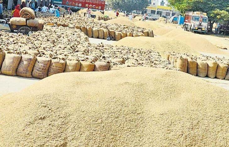 धान खरीदी केंद्रों में अव्यवस्था पर तीन प्राधिकृत अधिकारी पद से पृथक