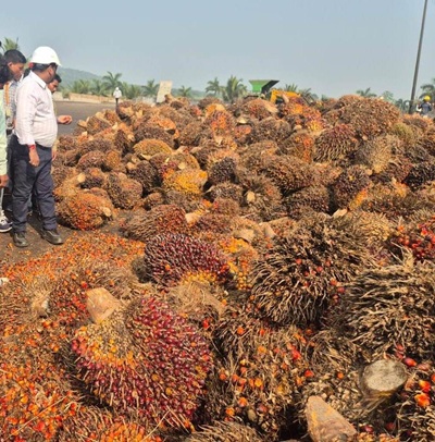 लाइवलीहुड कॉलेज में कौशल प्रशिक्षण के बाद वेलकम किट व टूल किट का वितरण लाइवलीहुड कॉलेज में कौशल प्रशिक्षण के बाद वेलकम किट व टूल किट का वितरण