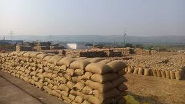 जिले में धान खरीदी ने बनाया नया कीर्तिमान, 6.77 लाख क्विंटल के साथ रचा इतिहास