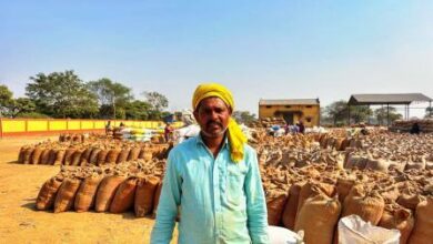 ऑनलाइन 24×7 टोकन सुविधा से आसान हुई धान खरीदी ऑनलाइन 24×7 टोकन सुविधा से आसान हुई धान खरीदी