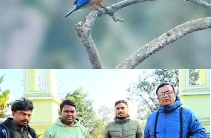 छत्तीसगढ़ में दूसरा और बारनवापारा अभयारण्य से पहला रिकॉर्ड दर्ज, में मिला दुर्लभ ब्लैक-कैप्ड किंगफिशर छत्तीसगढ़ में दूसरा और बारनवापारा अभयारण्य से पहला रिकॉर्ड दर्ज, में मिला दुर्लभ ब्लैक-कैप्ड किंगफिशर