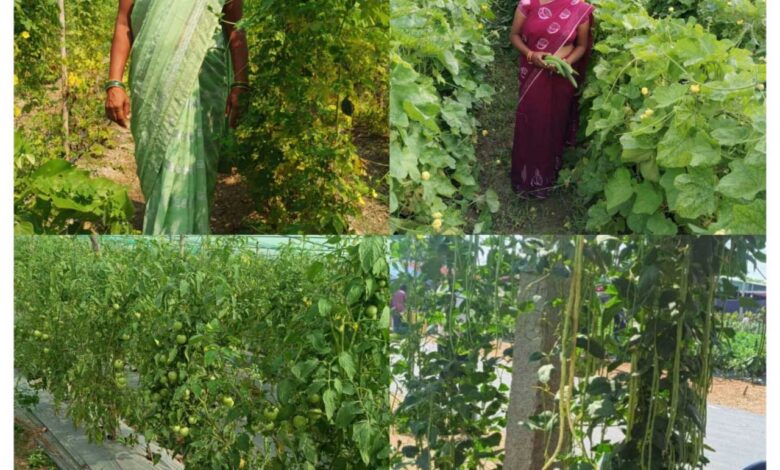 राष्ट्रीय ग्रामीण आजीविका मिशन: कर्ज के बोझ से मुक्त होकर आत्मनिर्भर बनी सुष्मिता जाटवर राष्ट्रीय ग्रामीण आजीविका मिशन: कर्ज के बोझ से मुक्त होकर आत्मनिर्भर बनी सुष्मिता जाटवर