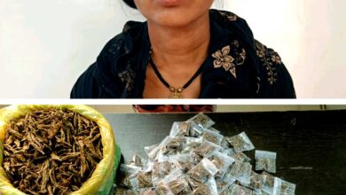 गांजा के साथ महिला आरोपी प्रिया मरकाम गिरफ्तार गांजा के साथ महिला आरोपी प्रिया मरकाम गिरफ्तार
