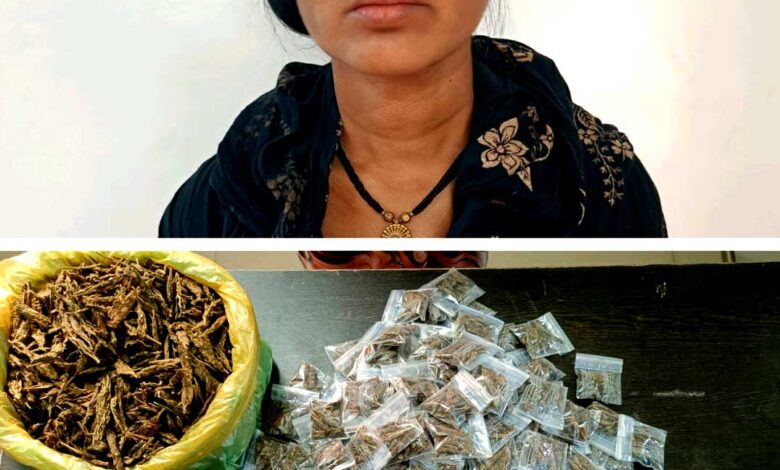 गांजा के साथ महिला आरोपी प्रिया मरकाम गिरफ्तार गांजा के साथ महिला आरोपी प्रिया मरकाम गिरफ्तार