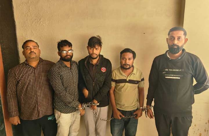 17,808 नग नशीली टेबलेट के साथ मेडिकल दवाई सप्लाय सिंडिकेट का पर्दाफाश 17,808 नग नशीली टेबलेट के साथ मेडिकल दवाई सप्लाय सिंडिकेट का पर्दाफाश