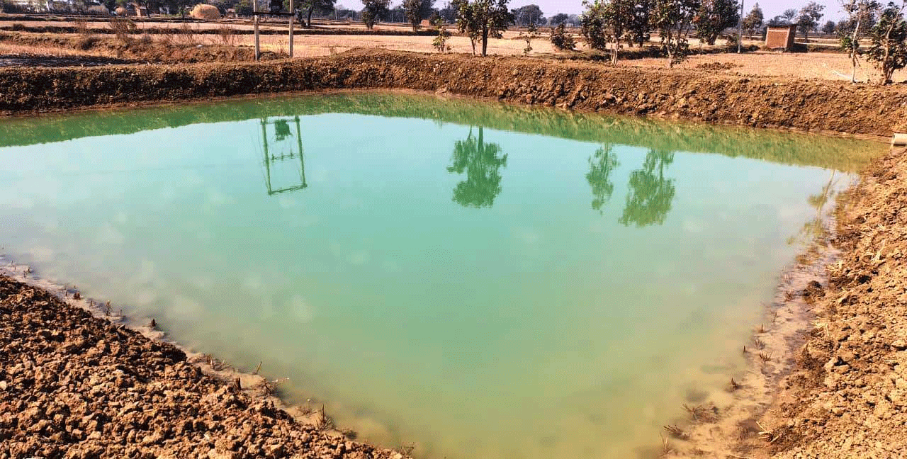 राष्ट्रीय ग्रामीण रोजगार गारंटी योजना: मजबूत हुई आजीविका की राह राष्ट्रीय ग्रामीण रोजगार गारंटी योजना: मजबूत हुई आजीविका की राह