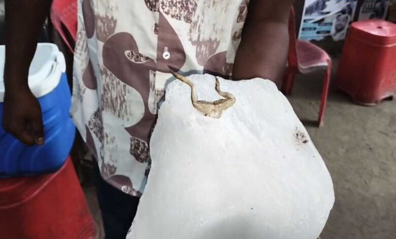 कोरबा चौपाटी में सनसनी: बर्फ में मेंढक मिलने से व्यापारियों का विरोध