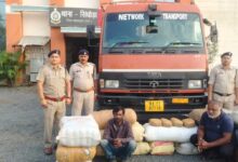 महासमुंद पुलिस के द्वारा जारी है गांजा तस्करी पर ताबड़तोड़ कार्यवाही, सिंघोड़ा में 312 किलो गांजा जब्त