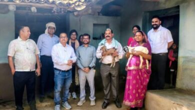 बिहान योजना का कमाल: मजदूरी करने वाली उद कुंवर बकरी पालन से बनीं ‘लखपति’, कलेक्टर डॉ. संतोष कुमार देवागन ने थपथपाई पीठ