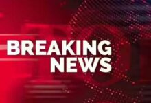 बारनवापारा अभ्यारण्य क्षेत्र में दंतैल हाथी के हमले में एक ग्रामीण की मृत्यु, वन विभाग द्वारा हाई अलर्ट जारी