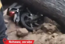 तीन राज्यों में पेड़-बिजली गिरने से 13 की मौत