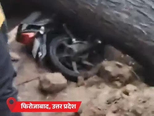 तीन राज्यों में पेड़-बिजली गिरने से 13 की मौत