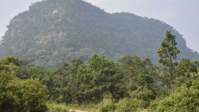 रामगढ़ महोत्सव: जहां इतिहास, आस्था और संस्कृति का हजारों वर्षों पुराना वैभव होता है सजीव
