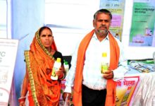नैनो डीएपी से बदल रही खेती की तस्वीर