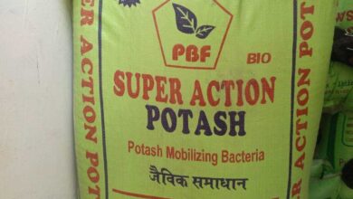 नकली उर्वरक एवं बिना लेबल के रासायनिक उत्पादों के अवैध कारोबार पर कृषि विभाग, पुलिस एवं छत्तीसगढ़िया क्रान्ति सेना की संयुक्त कार्रवाई