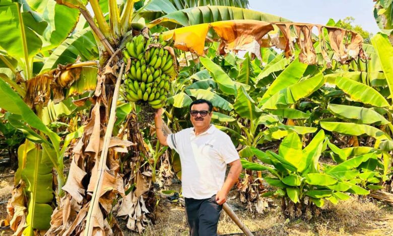आधुनिक खेती से सफलता की नई इबारत लिख रहे किसान भरत
