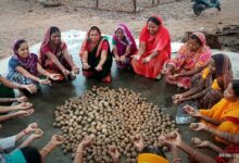 सीड बॉल बनाकर प्रकृति संरक्षण की अनूठी पहल, हरित जशपुर के निर्माण पर जोर सीड बॉल बनाकर प्रकृति संरक्षण की अनूठी पहल, हरित जशपुर के निर्माण पर जोर