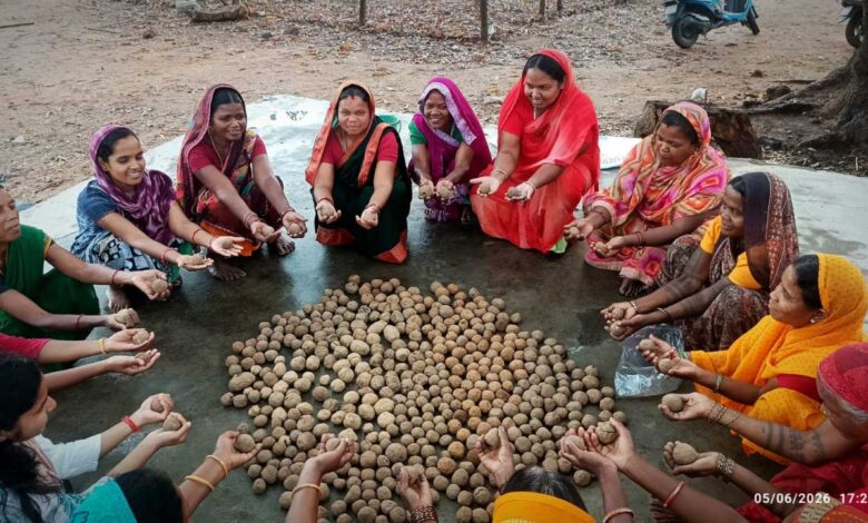 सीड बॉल बनाकर प्रकृति संरक्षण की अनूठी पहल, हरित जशपुर के निर्माण पर जोर सीड बॉल बनाकर प्रकृति संरक्षण की अनूठी पहल, हरित जशपुर के निर्माण पर जोर